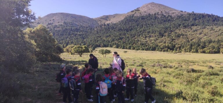 43-excursiones-1