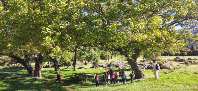 44-excursiones-1