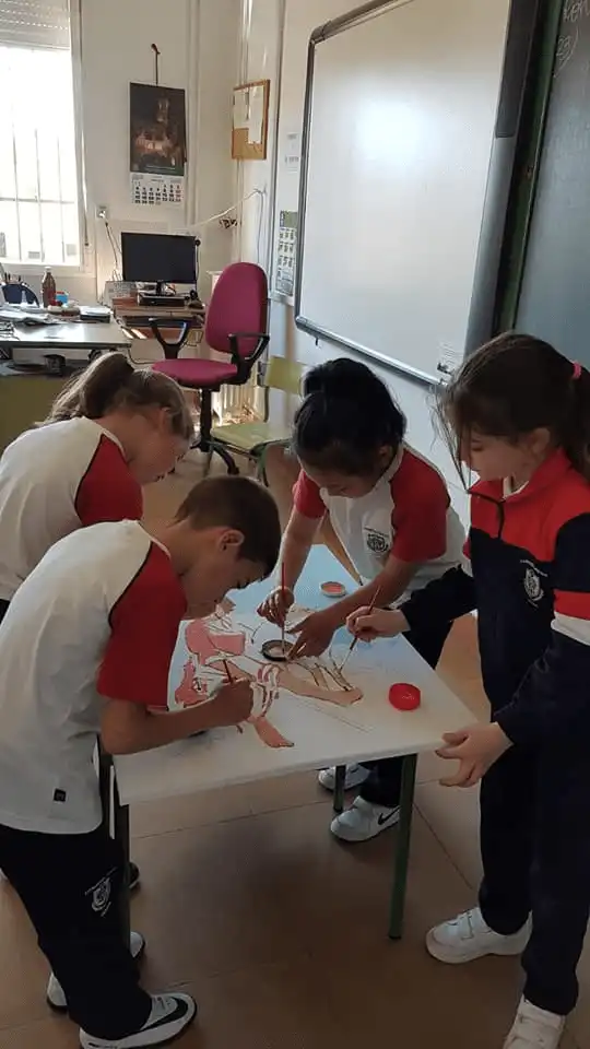 aula_primaria_2-min