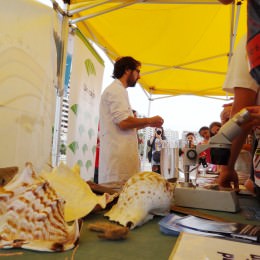 Laboratorio Marino de Unicaja y Aula del Mar