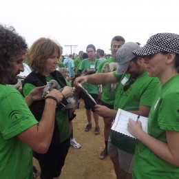 Anillamiento Flamencos Fuente de Piedra