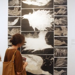 Inauguración exposición '+31'