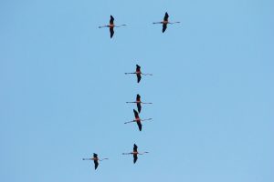 image 19321