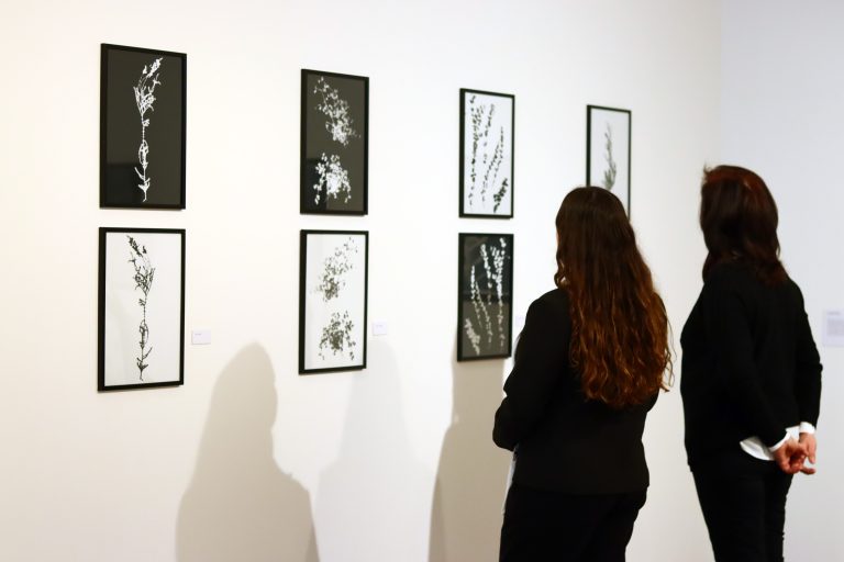 Entre-luces-y-sombras-3-1-768x512