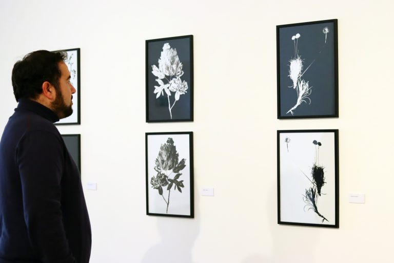 Entre-luces-y-sombras-4-768x512