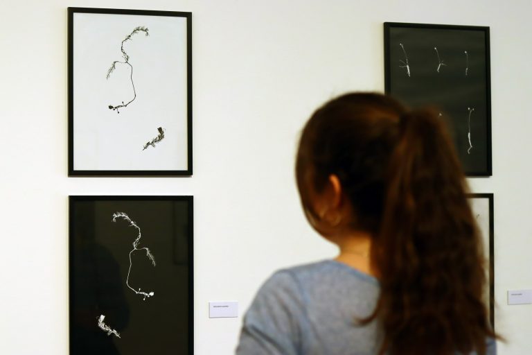 Entre-luces-y-sombras-6-768x512