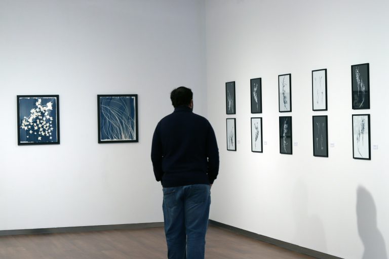 Entre-luces-y-sombras-7-768x512