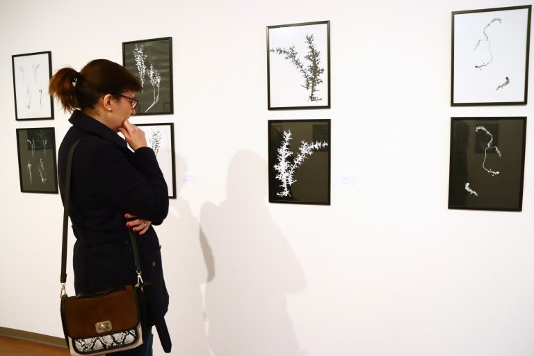 Entre-luces-y-sombras-8-1-768x512