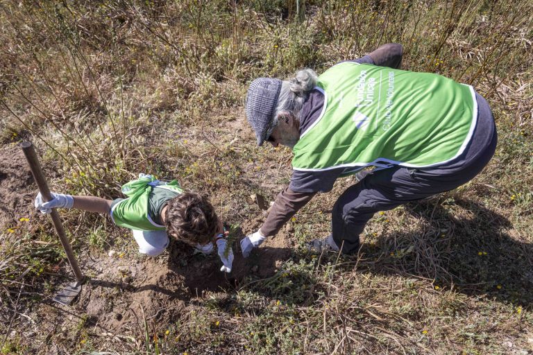 Plantacion arboles un niño un arbol - Unicaja 19 copia
