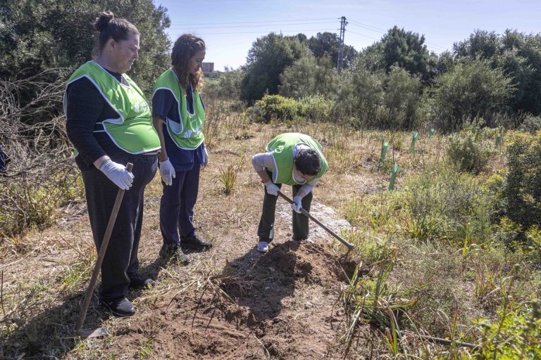 Plantacion arboles un niño un arbol - Unicaja 24 copia