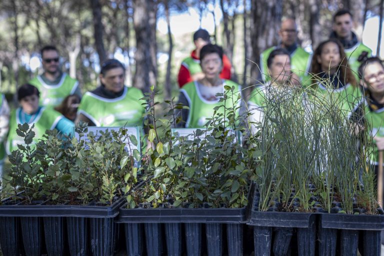 Plantacion arboles un niño un arbol - Unicaja 4 copia