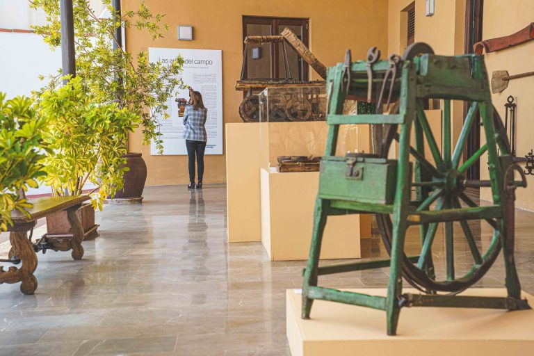 expo ronda 1