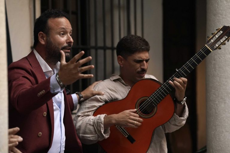 flamenco 7
